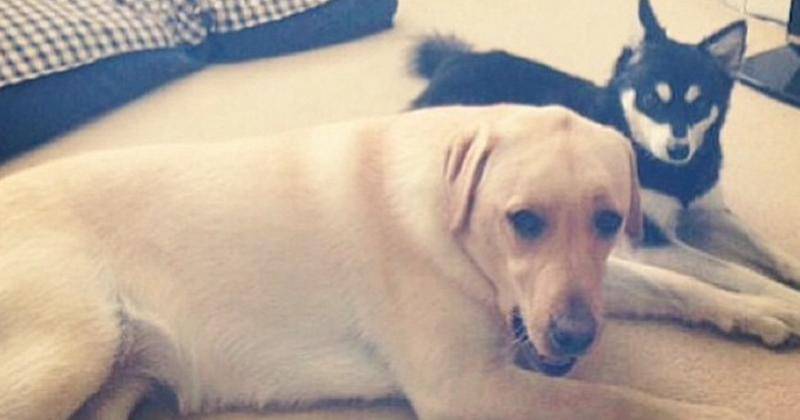 Instagram.com/ruth.payne